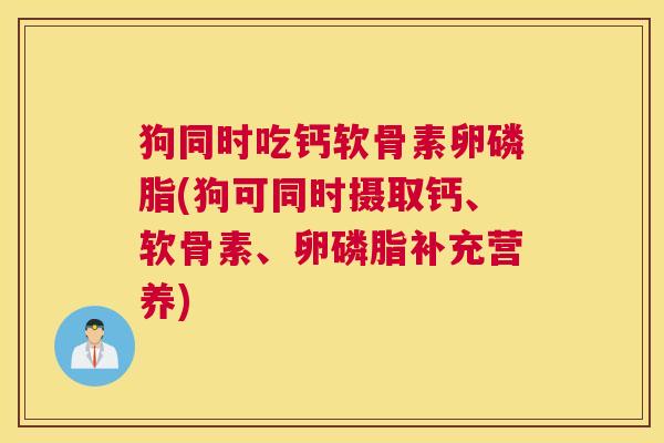 狗同时吃钙软骨素卵磷脂(狗可同时摄取钙、软骨素、卵磷脂补充营养)