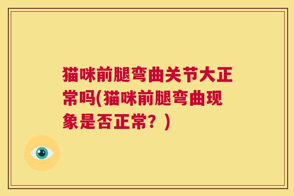 猫咪前腿弯曲关节大正常吗(猫咪前腿弯曲现象是否正常？)