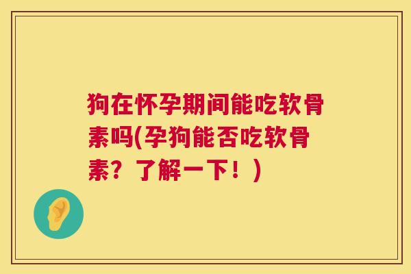 狗在怀孕期间能吃软骨素吗(孕狗能否吃软骨素？了解一下！)
