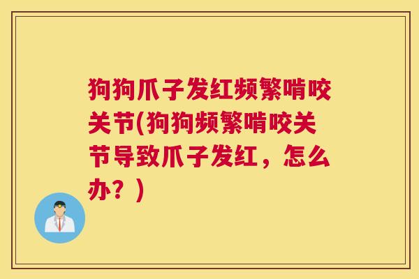狗狗爪子发红频繁啃咬关节(狗狗频繁啃咬关节导致爪子发红，怎么办？)