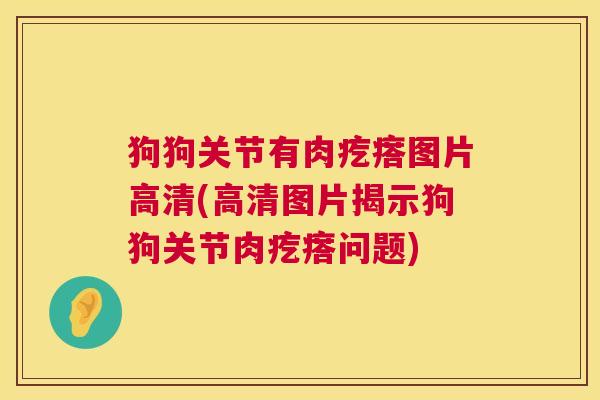 狗狗关节有肉疙瘩图片高清(高清图片揭示狗狗关节肉疙瘩问题)