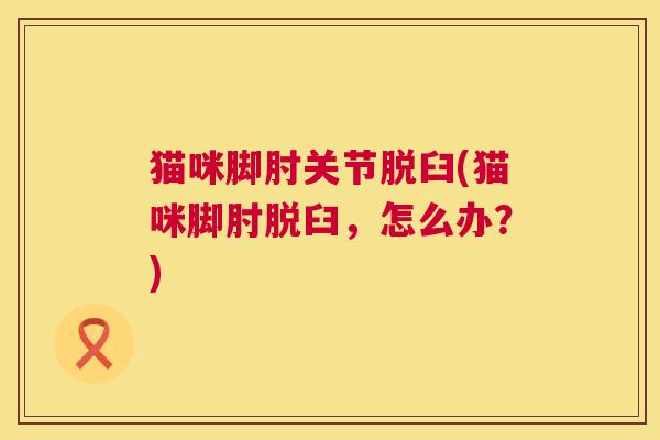 猫咪脚肘关节脱臼(猫咪脚肘脱臼，怎么办？)