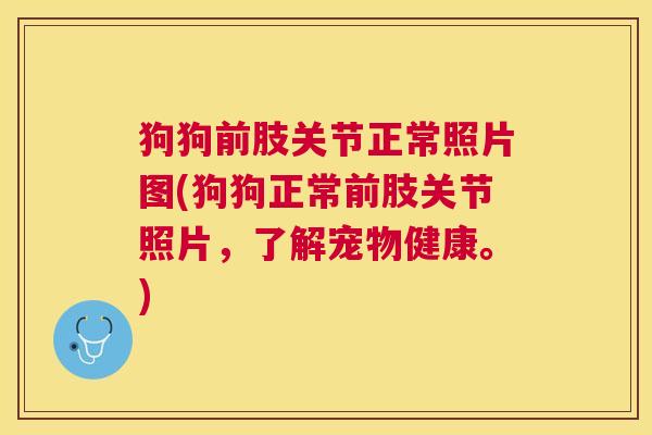 狗狗前肢关节正常照片图(狗狗正常前肢关节照片，了解宠物健康。)