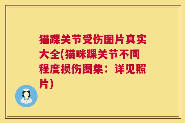 猫踝关节受伤图片真实大全(猫咪踝关节不同程度损伤图集：详见照片)