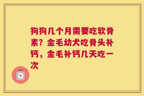 狗狗几个月需要吃软骨素？金毛幼犬吃骨头补钙，金毛补钙几天吃一次