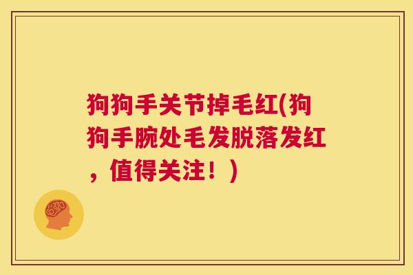 狗狗手关节掉毛红(狗狗手腕处毛发脱落发红，值得关注！)