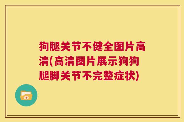狗腿关节不健全图片高清(高清图片展示狗狗腿脚关节不完整症状)