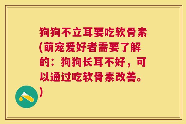 狗狗不立耳要吃软骨素(萌宠爱好者需要了解的：狗狗长耳不好，可以通过吃软骨素改善。)