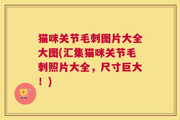 猫咪关节毛刺图片大全大图(汇集猫咪关节毛刺照片大全，尺寸巨大！)