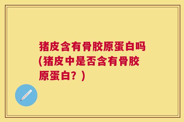 猪皮含有骨胶原蛋白吗(猪皮中是否含有骨胶原蛋白?) 猪皮含有骨胶原蛋白吗(猪皮中是否含有骨胶原蛋白?)