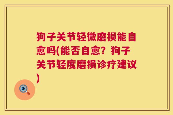 狗子关节轻微磨损能自愈吗(能否自愈?狗子关节轻度磨损诊疗建议) 狗子关节轻微磨损能自愈吗(能否自愈?狗子关节轻度磨损诊疗建议)