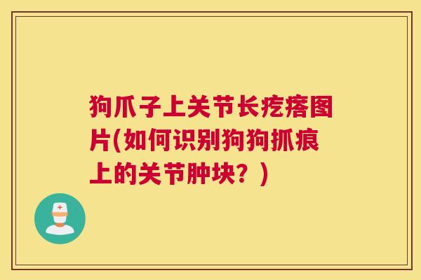 狗爪子上关节长疙瘩图片(如何识别狗狗抓痕上的关节肿块？)