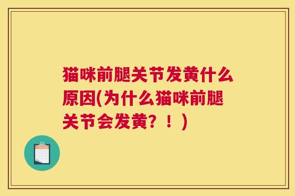 猫咪前腿关节发黄什么原因(为什么猫咪前腿关节会发黄？！)