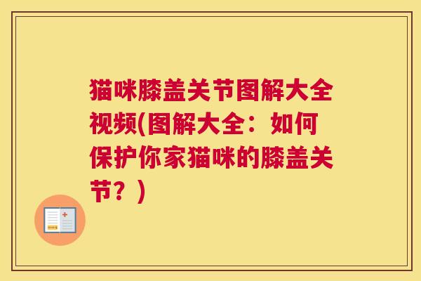 猫咪膝盖关节图解大全视频(图解大全：如何保护你家猫咪的膝盖关节？)