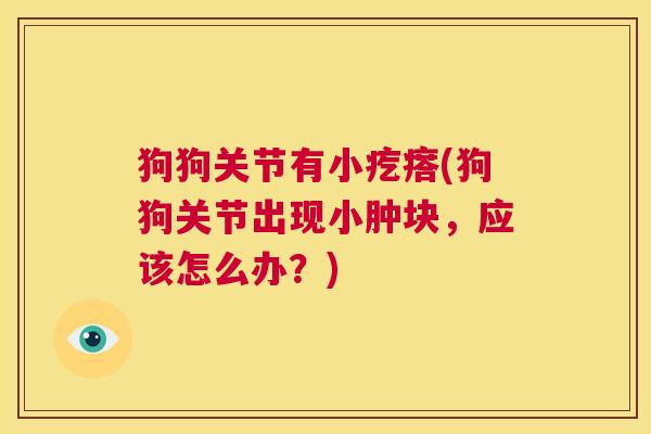 狗狗关节有小疙瘩(狗狗关节出现小肿块，应该怎么办？)