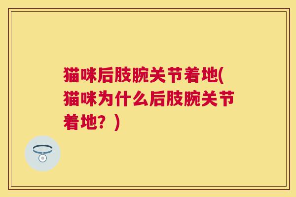 猫咪后肢腕关节着地(猫咪为什么后肢腕关节着地？)