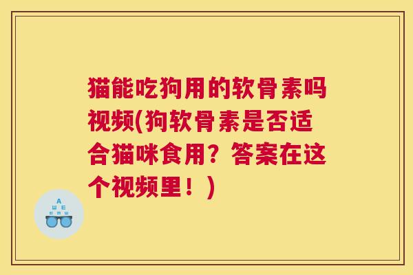 猫能吃狗用的软骨素吗视频(狗软骨素是否适合猫咪食用？答案在这个视频里！)