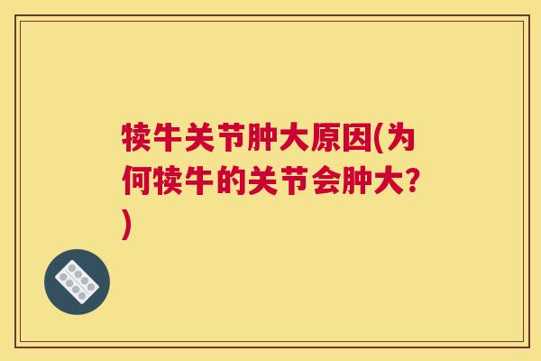 犊牛关节肿大原因(为何犊牛的关节会肿大？)