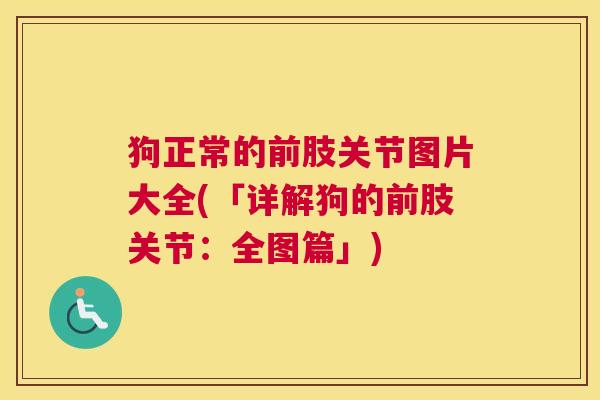 狗正常的前肢关节图片大全(「详解狗的前肢关节：全图篇」)