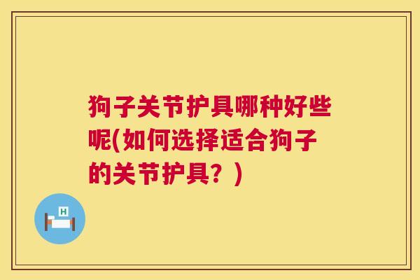狗子关节护具哪种好些呢(如何选择适合狗子的关节护具？)