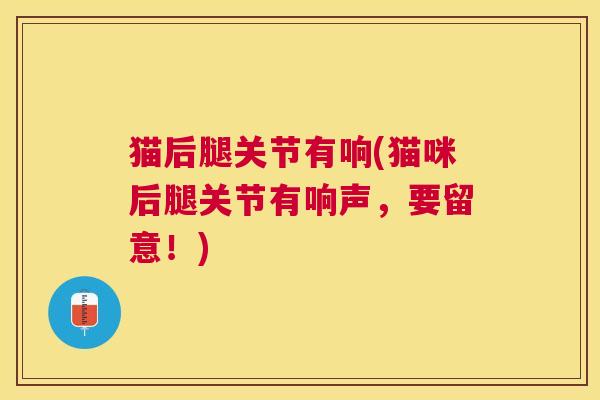 猫后腿关节有响(猫咪后腿关节有响声，要留意！)
