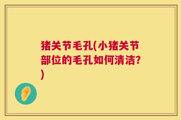 猪关节毛孔(小猪关节部位的毛孔如何清洁?) 猪关节毛孔(小猪关节部位的毛孔如何清洁?)