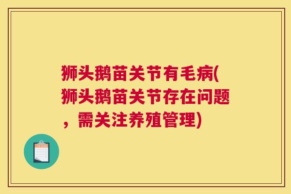 狮头鹅苗关节有毛病(狮头鹅苗关节存在问题，需关注养殖管理)