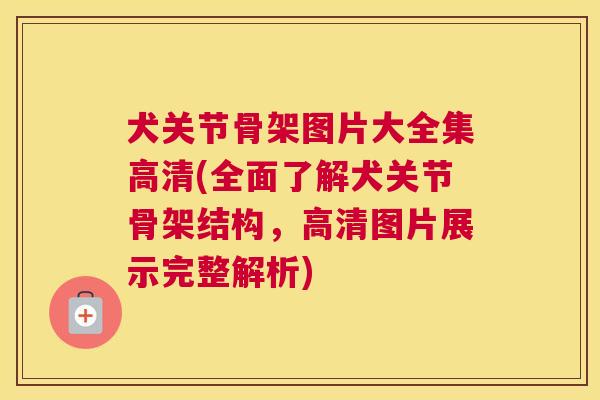 犬关节骨架图片大全集高清(全面了解犬关节骨架结构，高清图片展示完整解析)