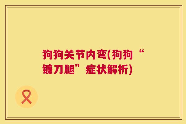 狗狗关节内弯(狗狗“镰刀腿”症状解析)