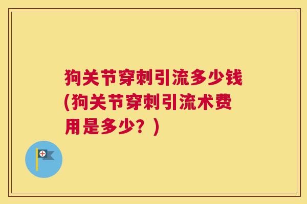 狗关节穿刺引流多少钱(狗关节穿刺引流术费用是多少？)