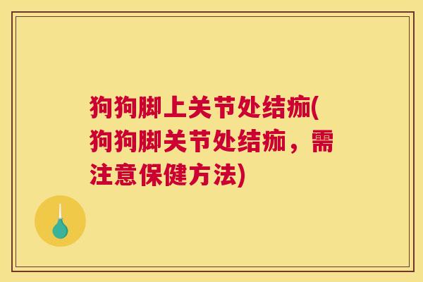 狗狗脚上关节处结痂(狗狗脚关节处结痂，需注意保健方法)