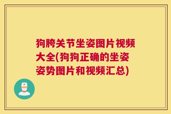 狗胯关节坐姿图片视频大全(狗狗正确的坐姿姿势图片和视频汇总)