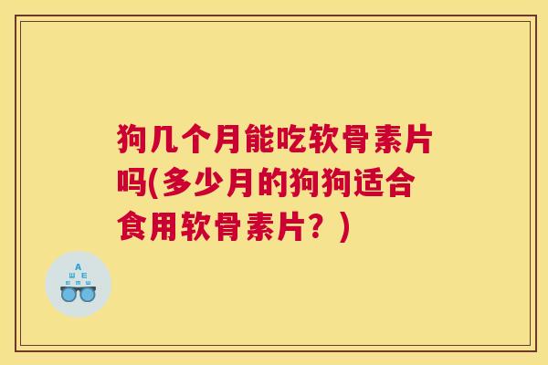 狗几个月能吃软骨素片吗(多少月的狗狗适合食用软骨素片？)