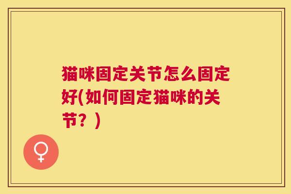 猫咪固定关节怎么固定好(如何固定猫咪的关节？)
