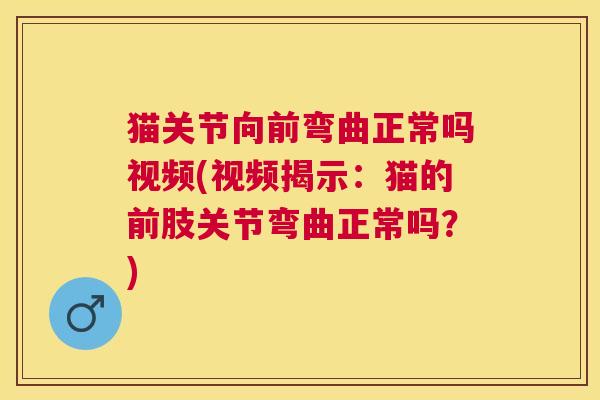 猫关节向前弯曲正常吗视频(视频揭示：猫的前肢关节弯曲正常吗？)
