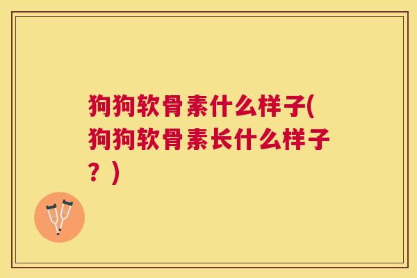 狗狗软骨素什么样子(狗狗软骨素长什么样子？)