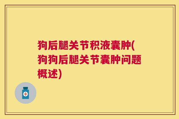 狗后腿关节积液囊肿(狗狗后腿关节囊肿问题概述)