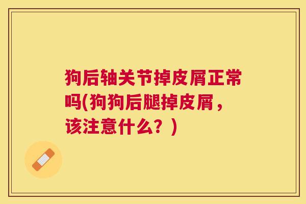 狗后轴关节掉皮屑正常吗(狗狗后腿掉皮屑，该注意什么？)