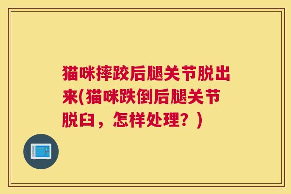 猫咪摔跤后腿关节脱出来(猫咪跌倒后腿关节脱臼，怎样处理？)