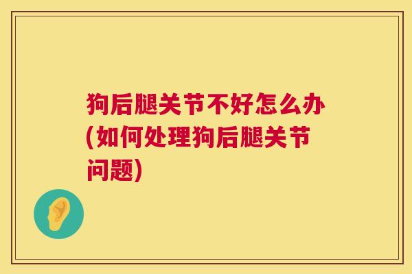 狗后腿关节不好怎么办(如何处理狗后腿关节问题)
