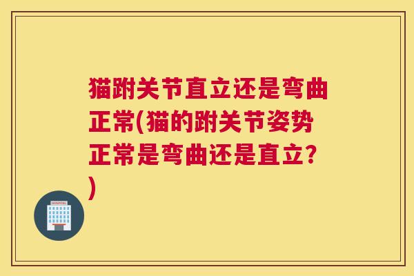 猫跗关节直立还是弯曲正常(猫的跗关节姿势正常是弯曲还是直立？)