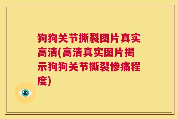 狗狗关节撕裂图片真实高清(高清真实图片揭示狗狗关节撕裂惨痛程度)