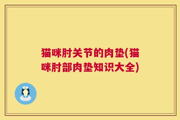猫咪肘关节的肉垫(猫咪肘部肉垫知识大全)