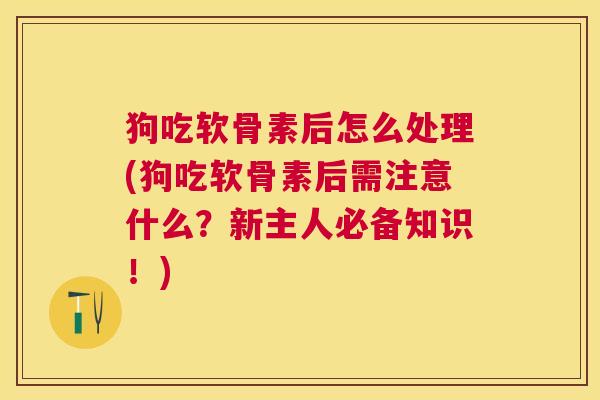 狗吃软骨素后怎么处理(狗吃软骨素后需注意什么？新主人必备知识！)