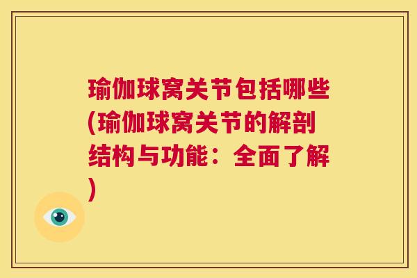 瑜伽球窝关节包括哪些(瑜伽球窝关节的解剖结构与功能：全面了解)
