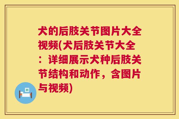 犬的后肢关节图片大全视频(犬后肢关节大全：详细展示犬种后肢关节结构和动作，含图片与视频)