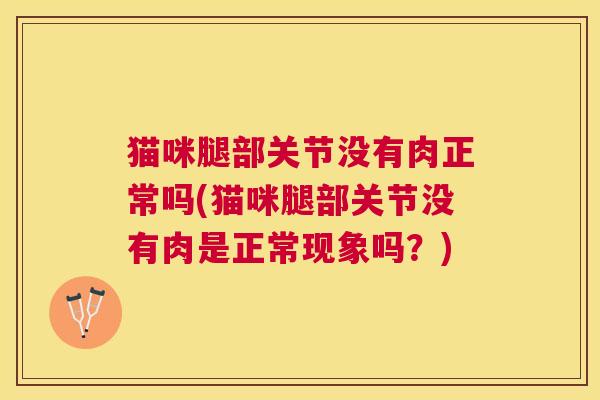 猫咪腿部关节没有肉正常吗(猫咪腿部关节没有肉是正常现象吗？)
