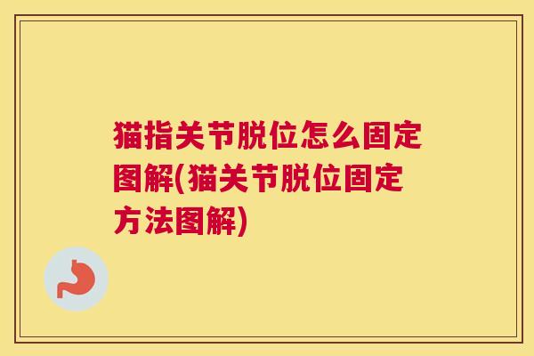 猫指关节脱位怎么固定图解(猫关节脱位固定方法图解)