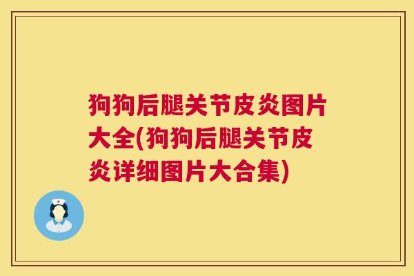 狗狗后腿关节皮炎图片大全(狗狗后腿关节皮炎详细图片大合集)