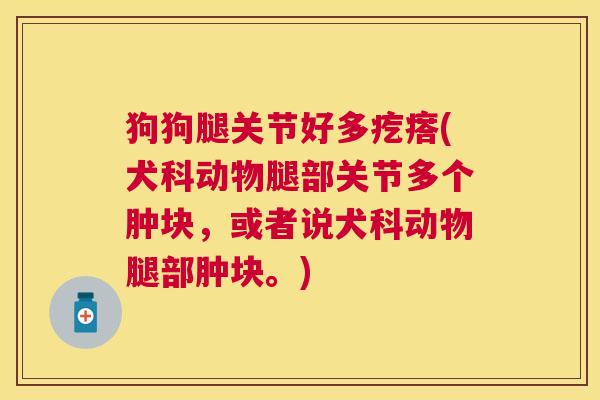 狗狗腿关节好多疙瘩(犬科动物腿部关节多个肿块，或者说犬科动物腿部肿块。)
